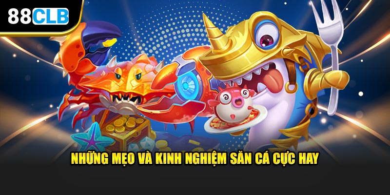 Những mẹo và kinh nghiệm săn cá cực hay